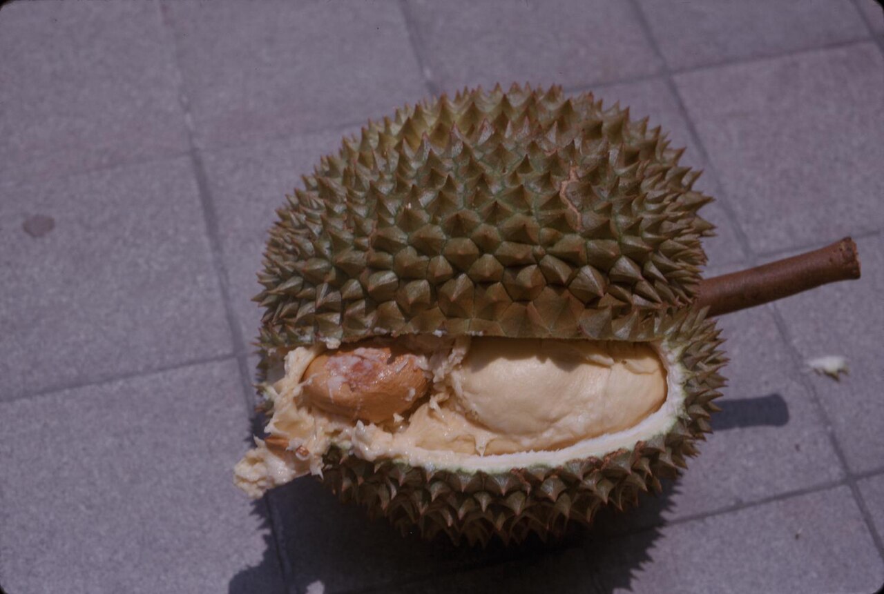 ผลทุเรียนผ่าให้เห็นเนื้อและเมล็ด